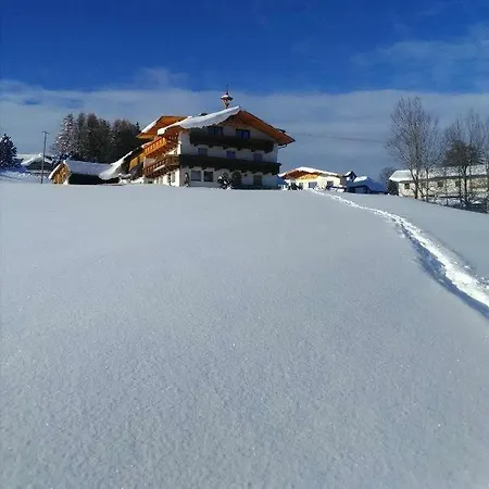 Schrofelerhof A.br. *